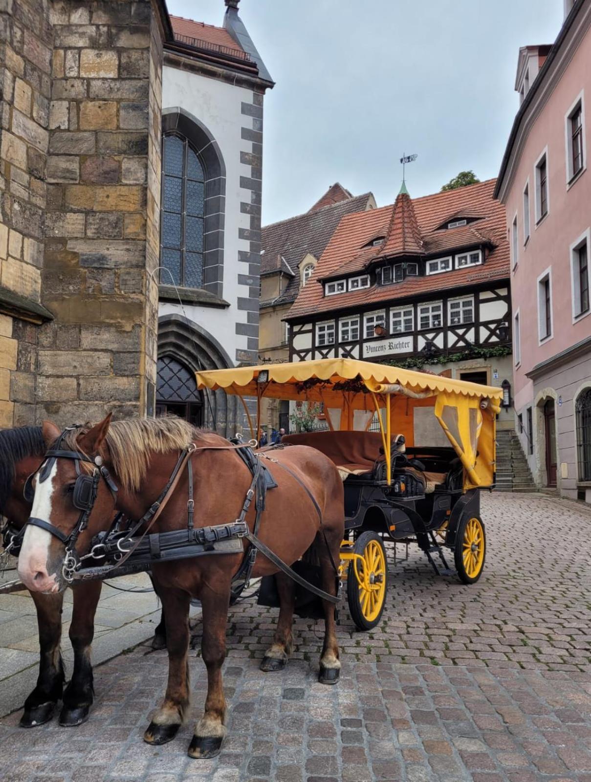 Cosel Apartment Altstadt Radfahrer Balkon Meissen Phòng bức ảnh